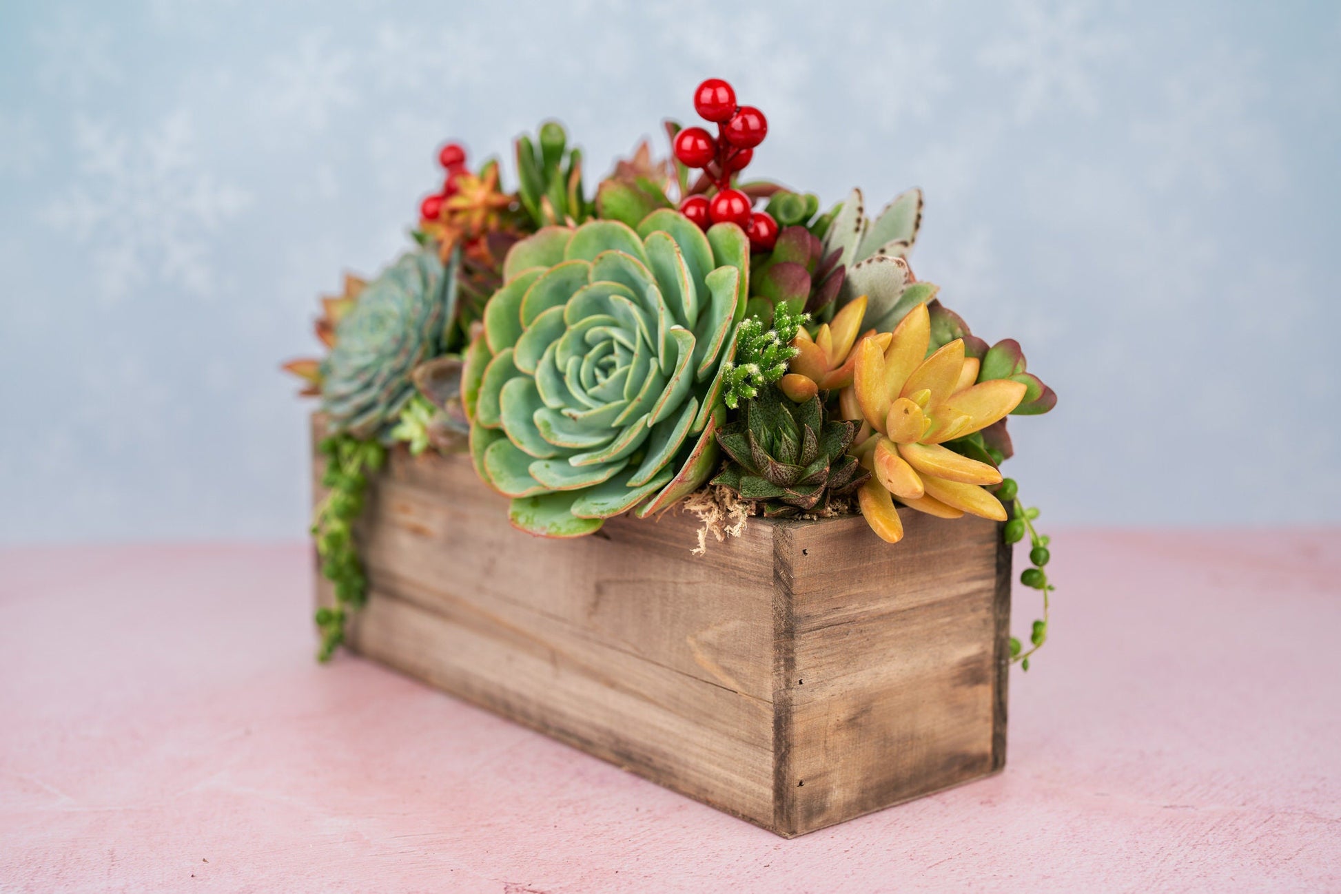 Christmas Rustic Wood Rectangle Succulent Arrangement with Gingerbread Man Ornament: Holiday Centerpiece or Home Decor