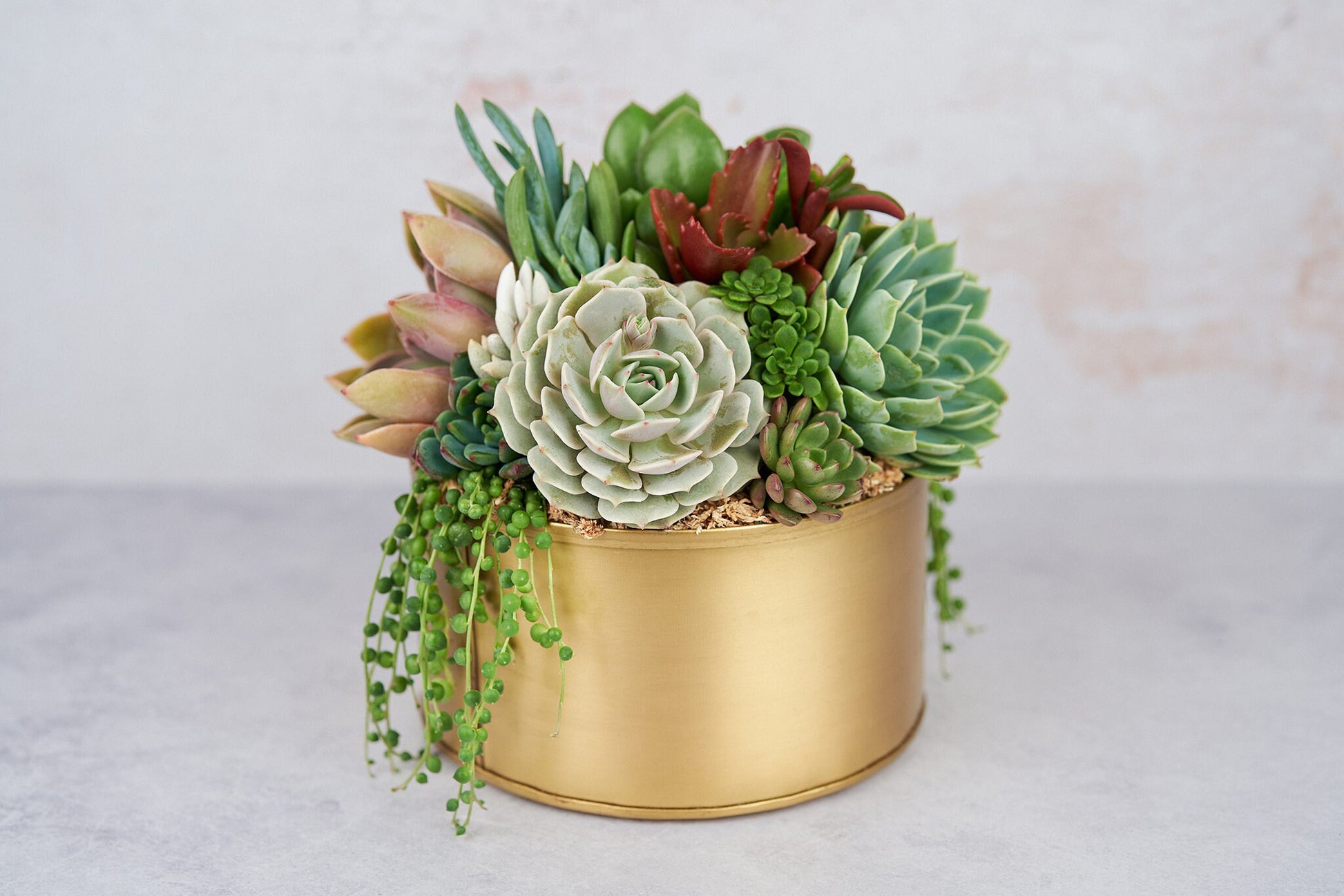 Gold Metal Bowl Succulent Arrangement Planter: Modern Living Succulent Gift, Centerpiece for Weddings & Events, Housewarming Gift