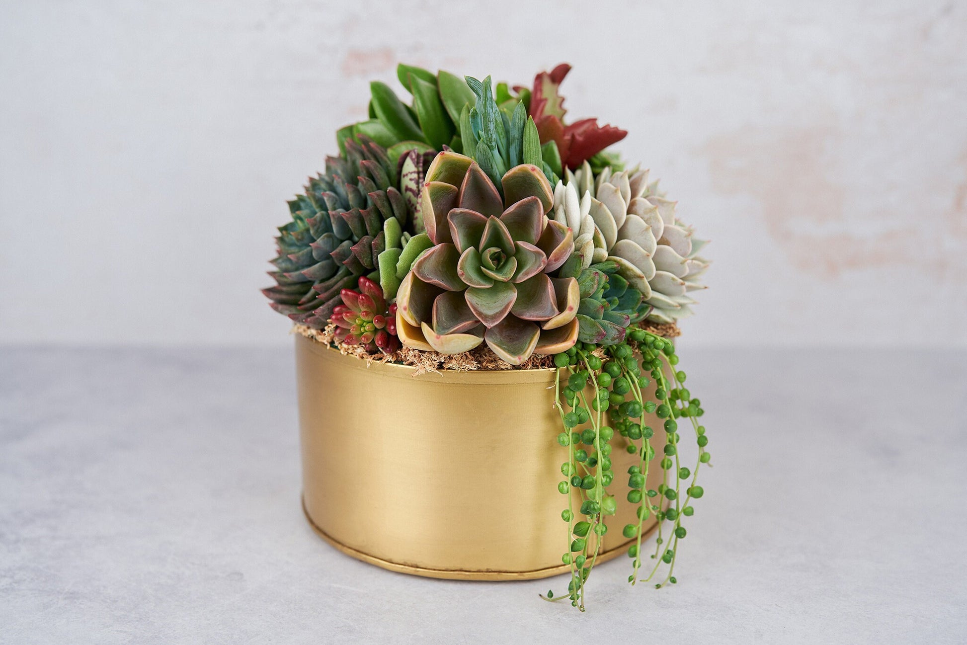 Gold Metal Bowl Succulent Arrangement Planter: Modern Living Succulent Gift, Centerpiece for Weddings & Events, Housewarming Gift