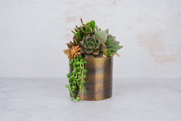 Medium Bronze Metal Succulent Arrangement Planter: Modern Living Succulent Gift, Centerpiece for Weddings & Events, Housewarming Gift