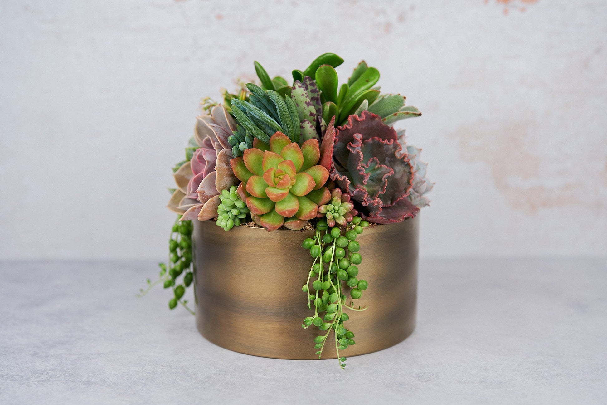 Bronze Metal Bowl Succulent Arrangement Planter: Modern Living Succulent Gift, Centerpiece for Weddings & Events, Housewarming Gift