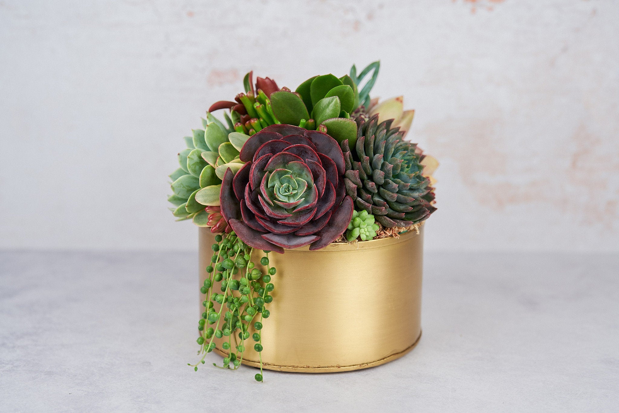 succulents in metal pots Gold Metal Bowl Succulent Arrangement Planter