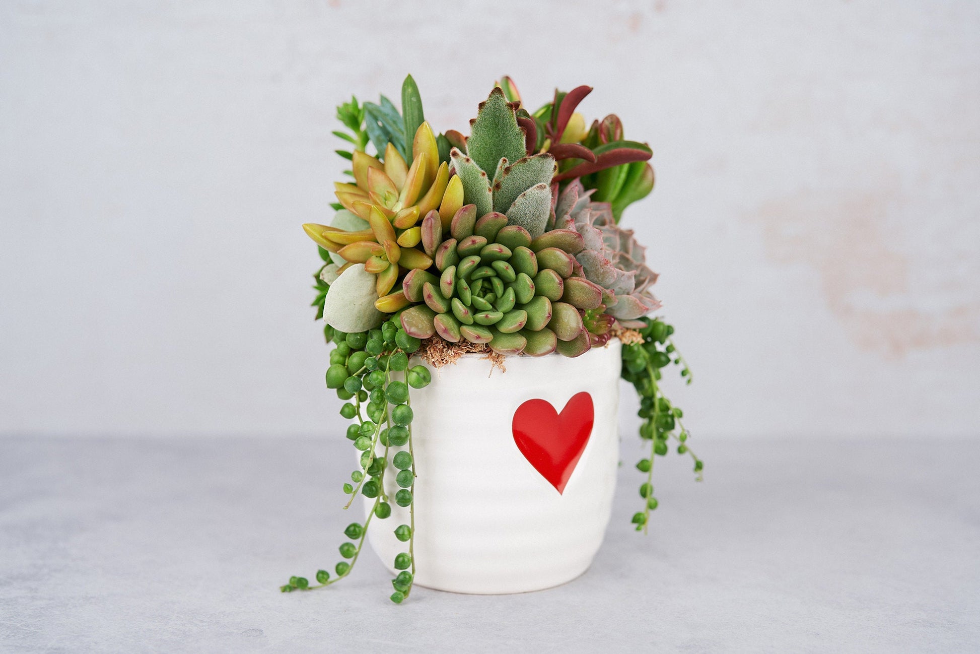 Red Heart Love Succulent Arrangement Valentines Day Gift: Living Succulent Gift, Centerpiece for Weddings & Events, Housewarming Gift