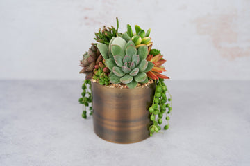 Medium Bronze Metal Succulent Arrangement Planter: Modern Living Succulent Gift, Centerpiece for Weddings & Events, Housewarming Gift