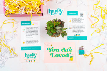Mother's Day Succulent Arrangement Gift Box | Care Package for Mom, Sister, or Friend