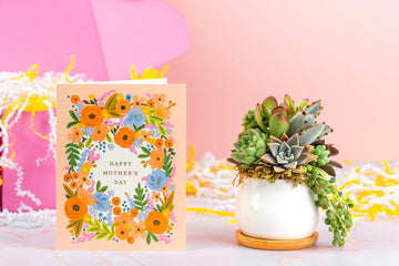 Mother's Day Succulent Arrangement Gift Box | Care Package for Mom, Sister, or Friend