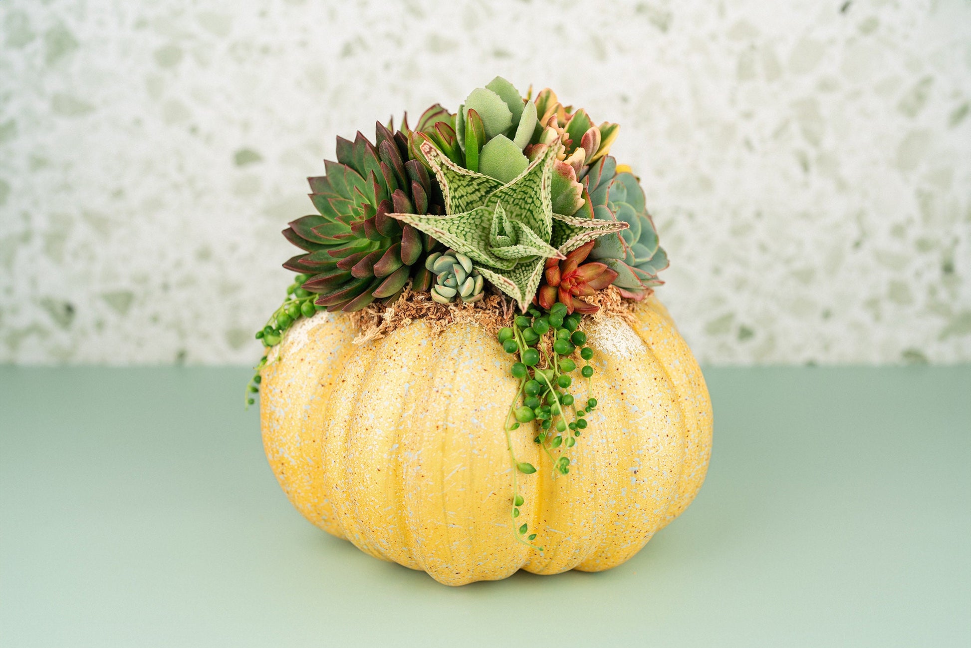 Yellow Large Succulent Pumpkin: Faux Pumpkin Trimmed with Living Succulents for Halloween, Fall Home Decor, Thanksgiving Centerpiece