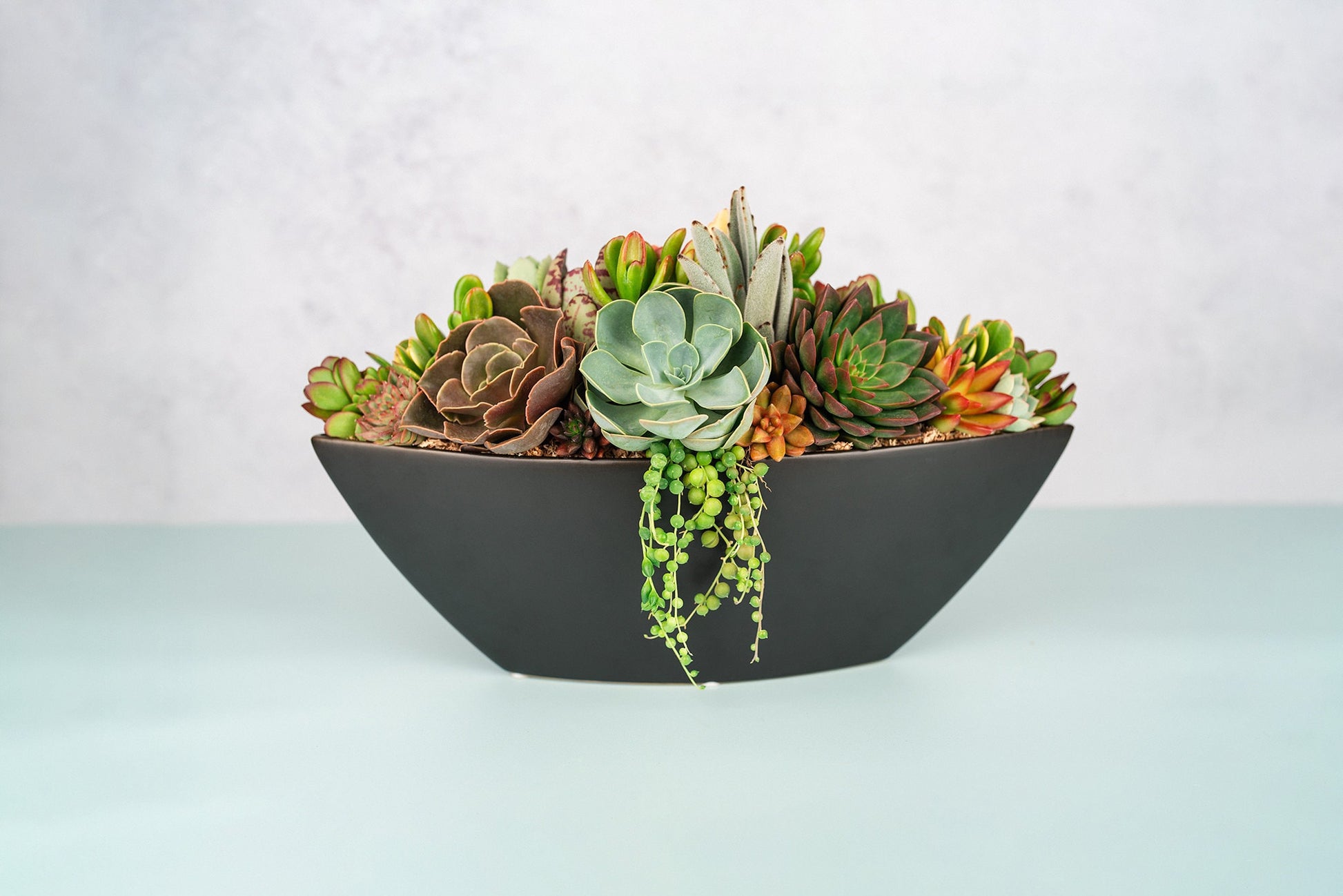 Black Large Boat Succulent Planter Arrangement : Long Ceramic Living Succulent Centerpiece for Weddings & Events or Succulent Gift