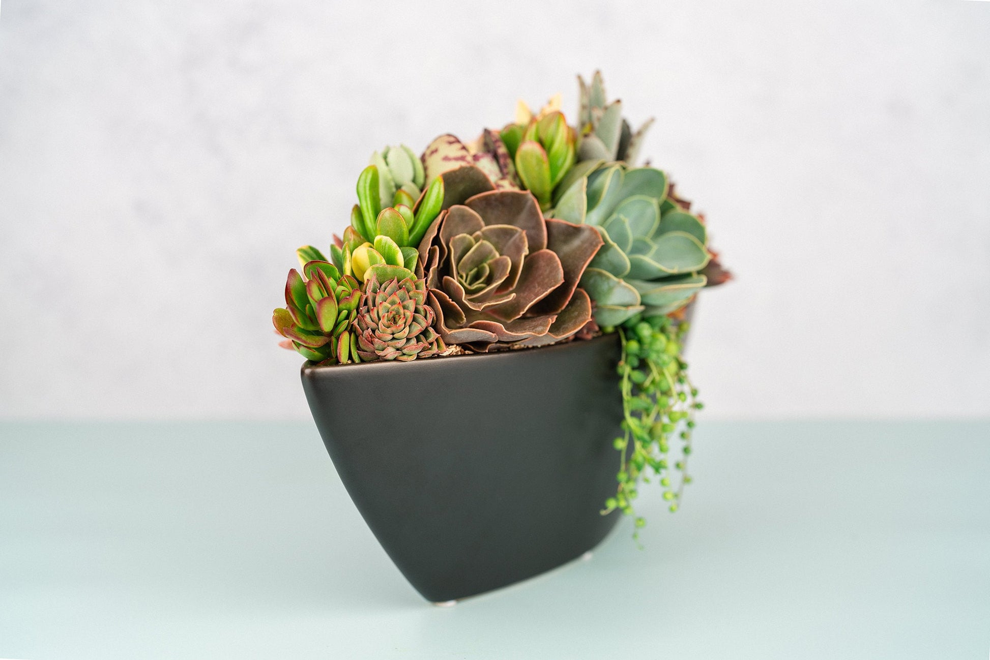 Black Large Boat Succulent Planter Arrangement : Long Ceramic Living Succulent Centerpiece for Weddings & Events or Succulent Gift