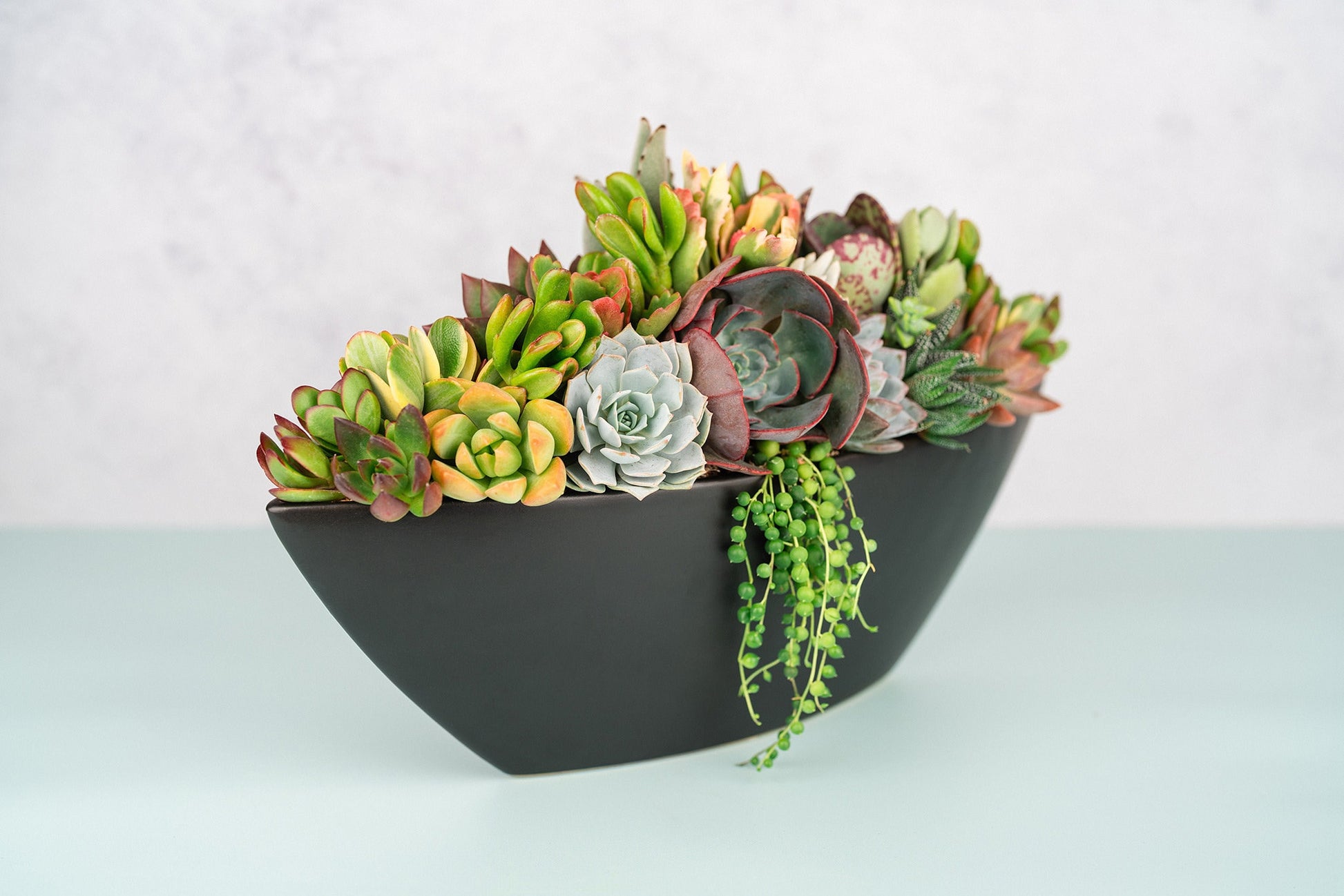 Black Large Boat Succulent Planter Arrangement : Long Ceramic Living Succulent Centerpiece for Weddings & Events or Succulent Gift