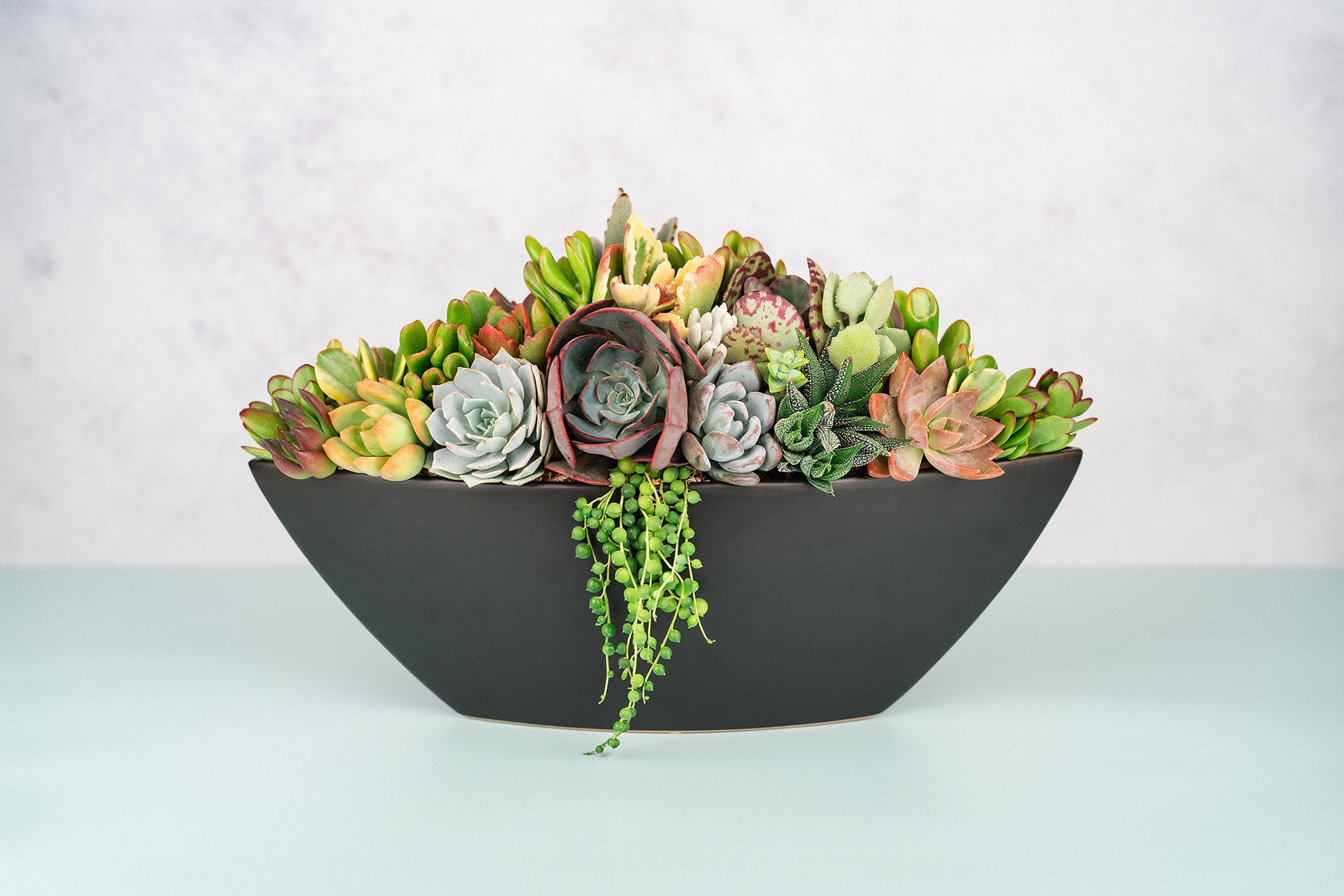 Black Large Boat Succulent Planter Arrangement : Long Ceramic Living Succulent Centerpiece for Weddings & Events or Succulent Gift
