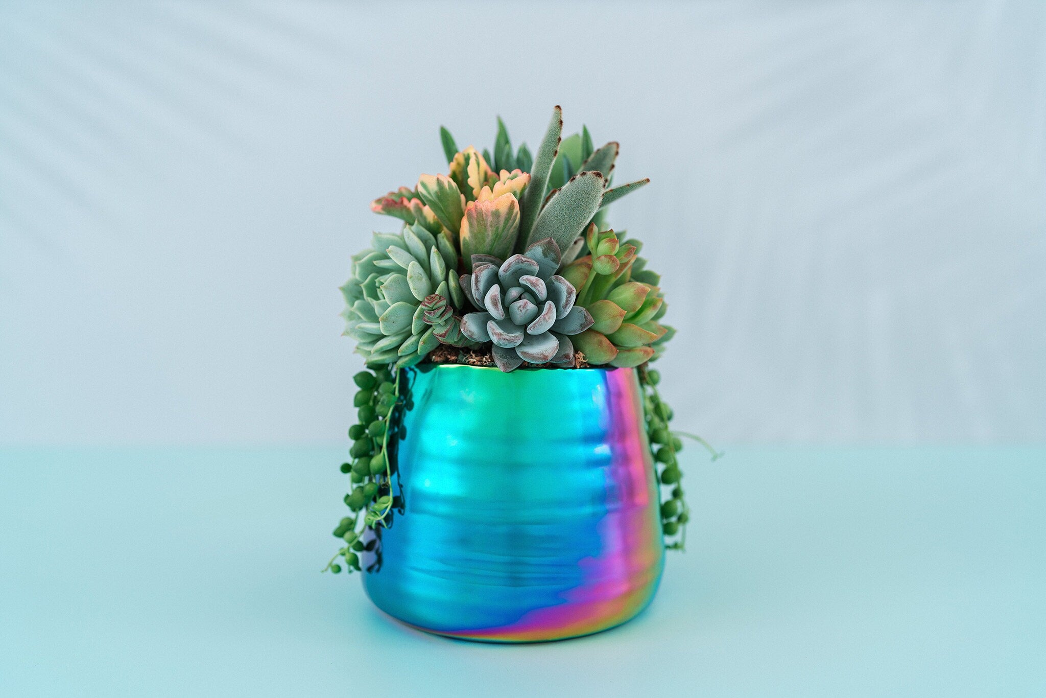 rainbow plant pot Iridescent Rainbow Succulent Arrangement Planter