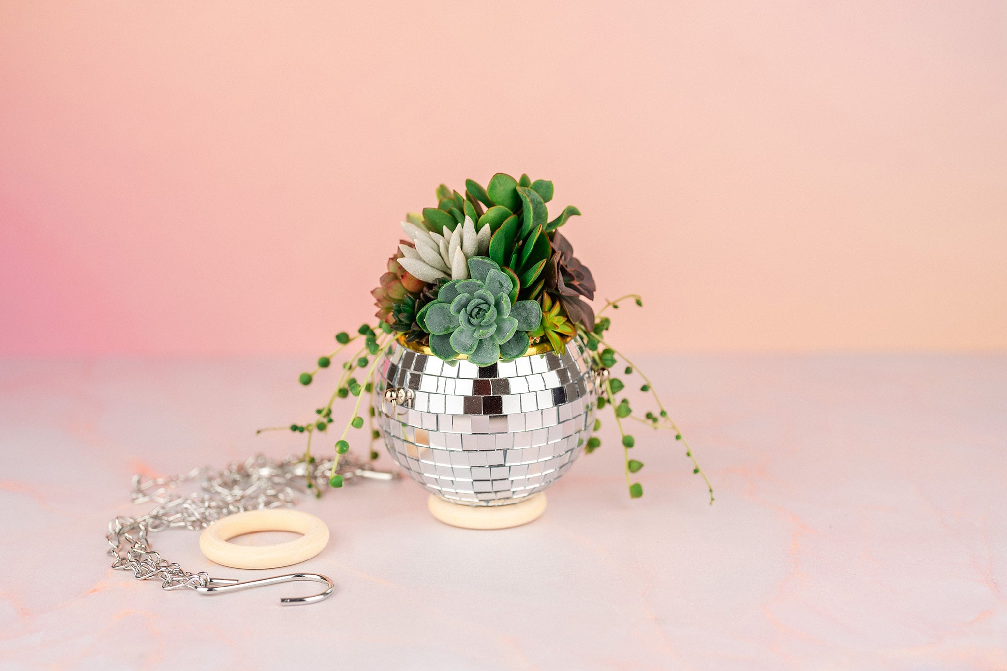 small ball succulent Mini Disco Ball Succulent Arrangement Planter- Hang or Tabletop Decor