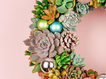 Pastel Christmas Succulent Wreath with Living Pink and Purple Plants, Ornaments, and Pine Cones for Front Door Entry, Holiday Decorating