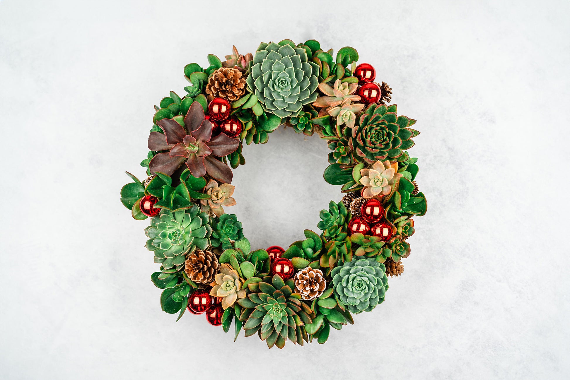 succulent christmas wreath Christmas Succulent Wreath with Living Green and Red Plants, Ornaments