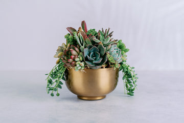 Small Gold Metal Bowl Succulent Arrangement