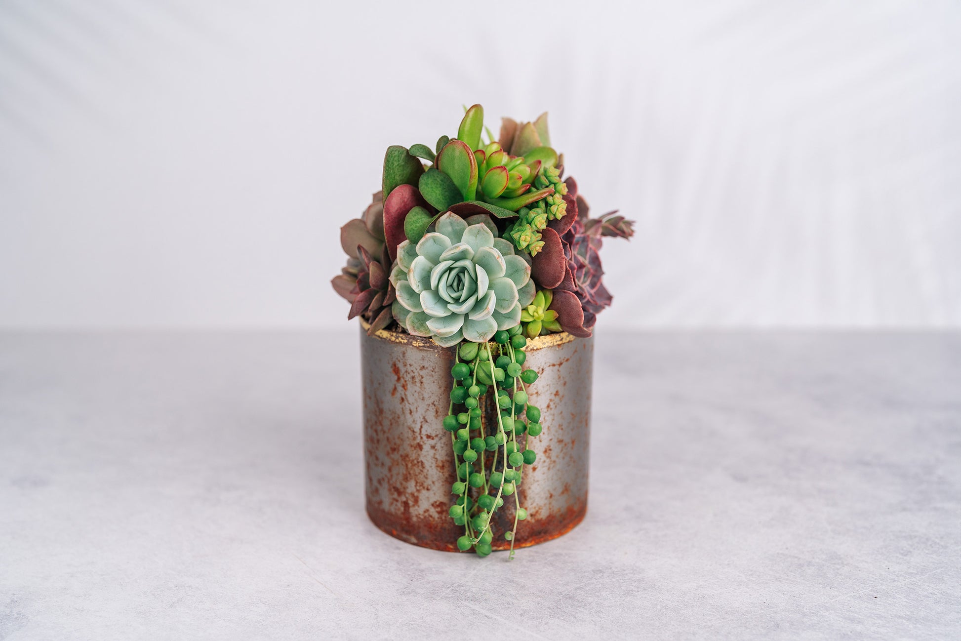 medium pots for succulents Medium Industrial Metal Succulent Arrangement Planter