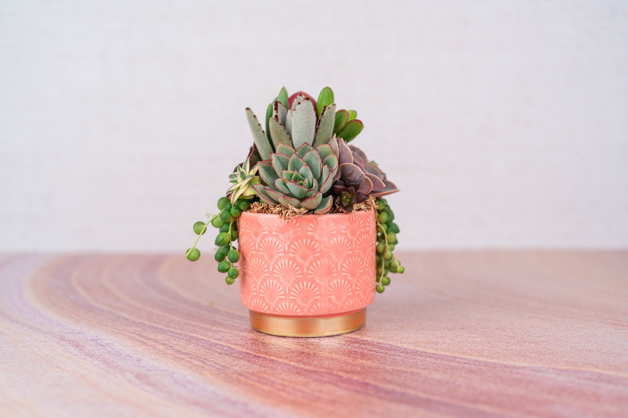 Peach and Gold Patterned Small Living Succulent Arrangement