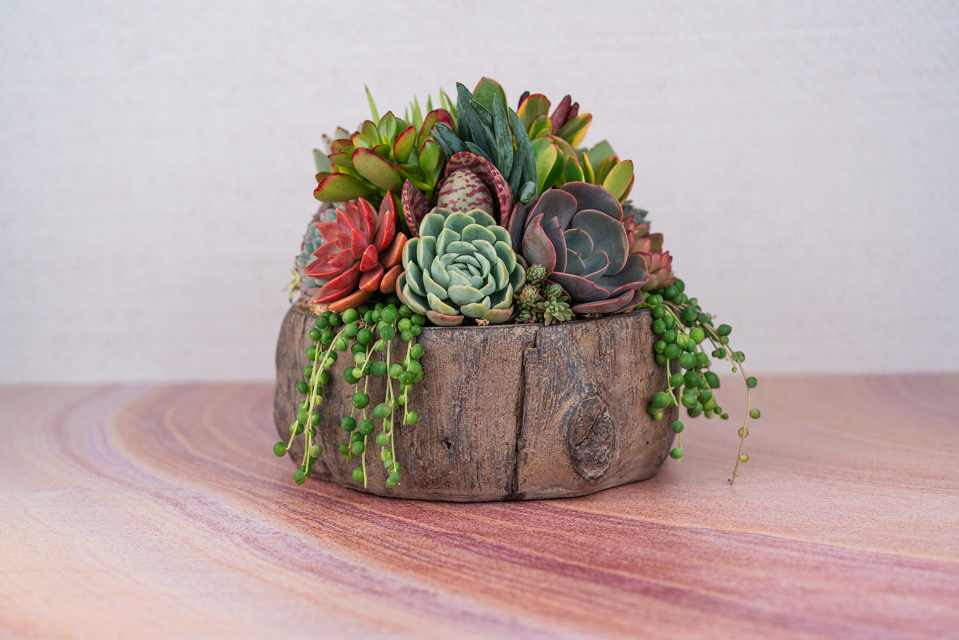 succulents in wooden bowl Tree Trunk Cement Bowl Succulent Arrangement Planter