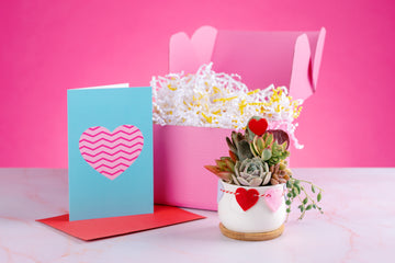 mail succulent gift Heart Mini Succulent Arrangement