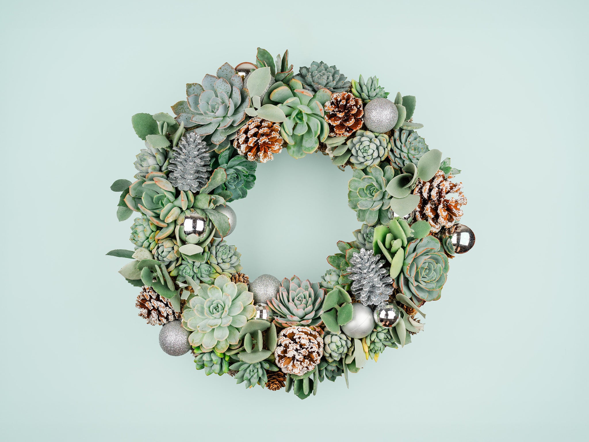 winter succulent wreath Winter Christmas Holiday Succulent Wreath with Living Plants in Blue-Green, Silver Ornaments