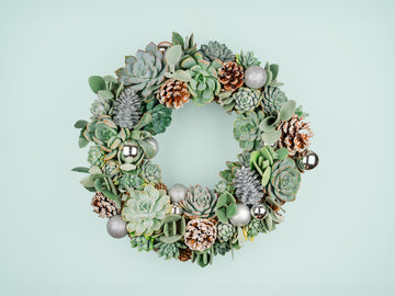 Winter Christmas Holiday Succulent Wreath with Living Plants in Blue-Green, Silver Ornaments, and Glitter Pine Cones for Front Door Entry