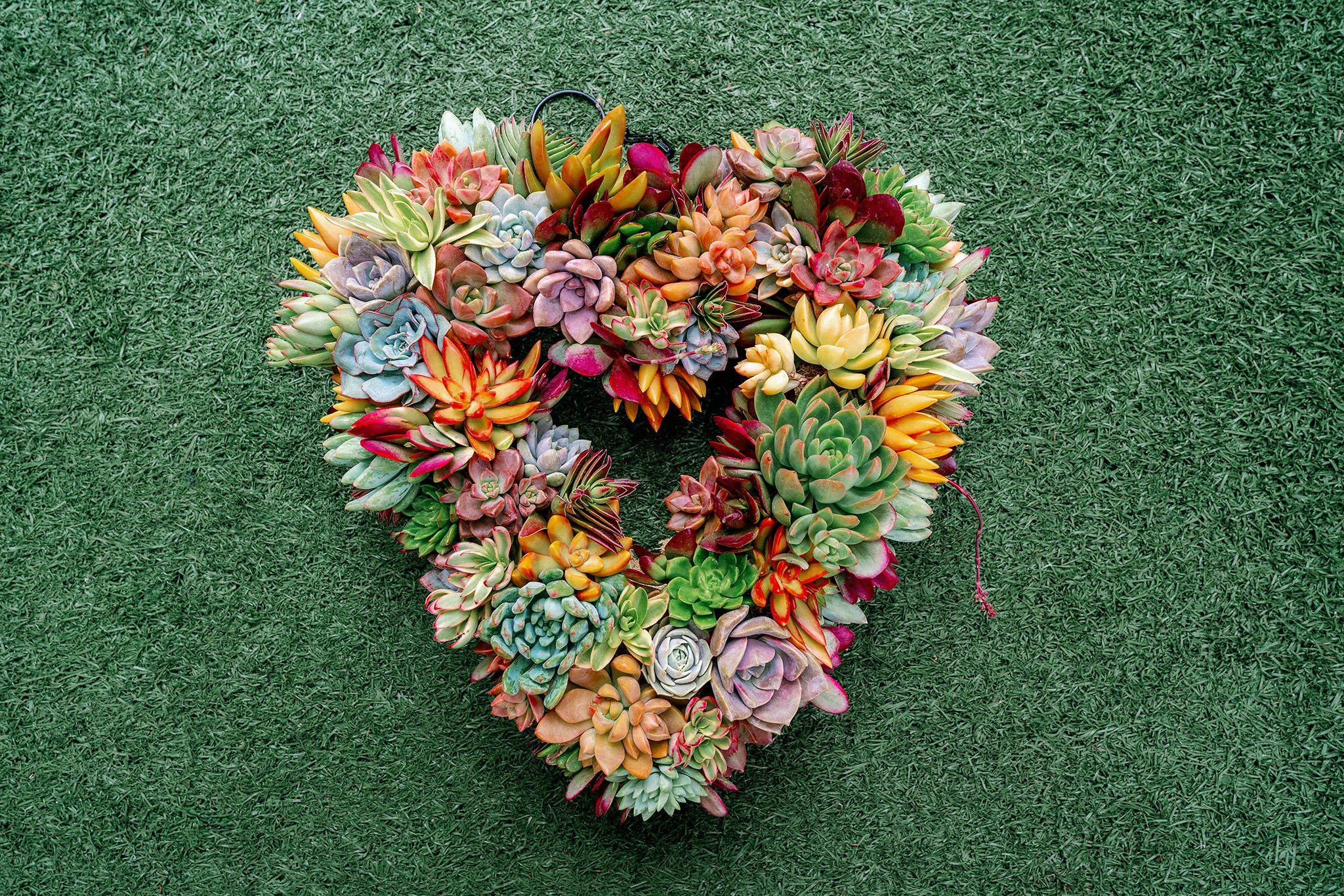 Heart Succulent Moss Wreath
