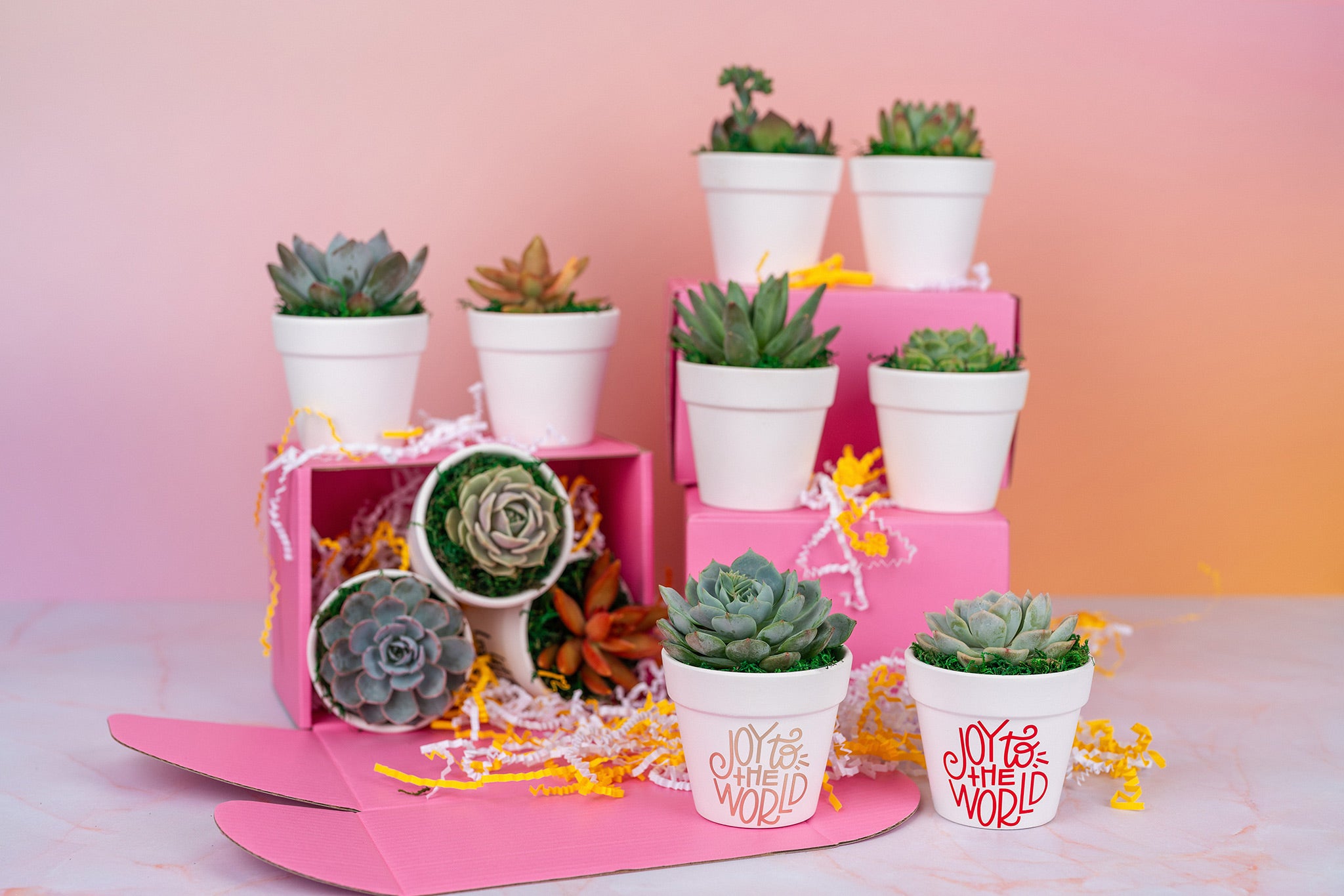 Joy to the World Succulent Party Favors