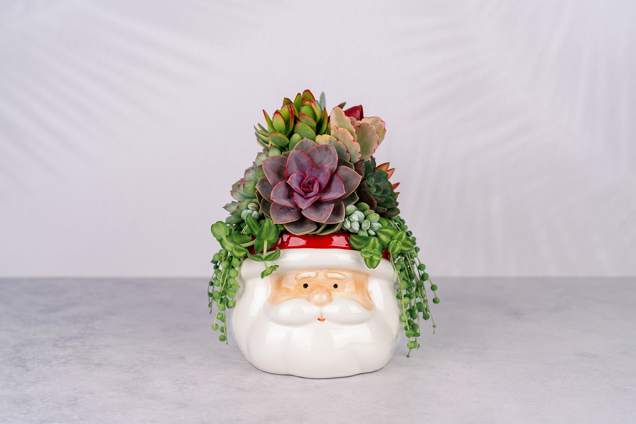 Santa Christmas Succulent Arrangement
