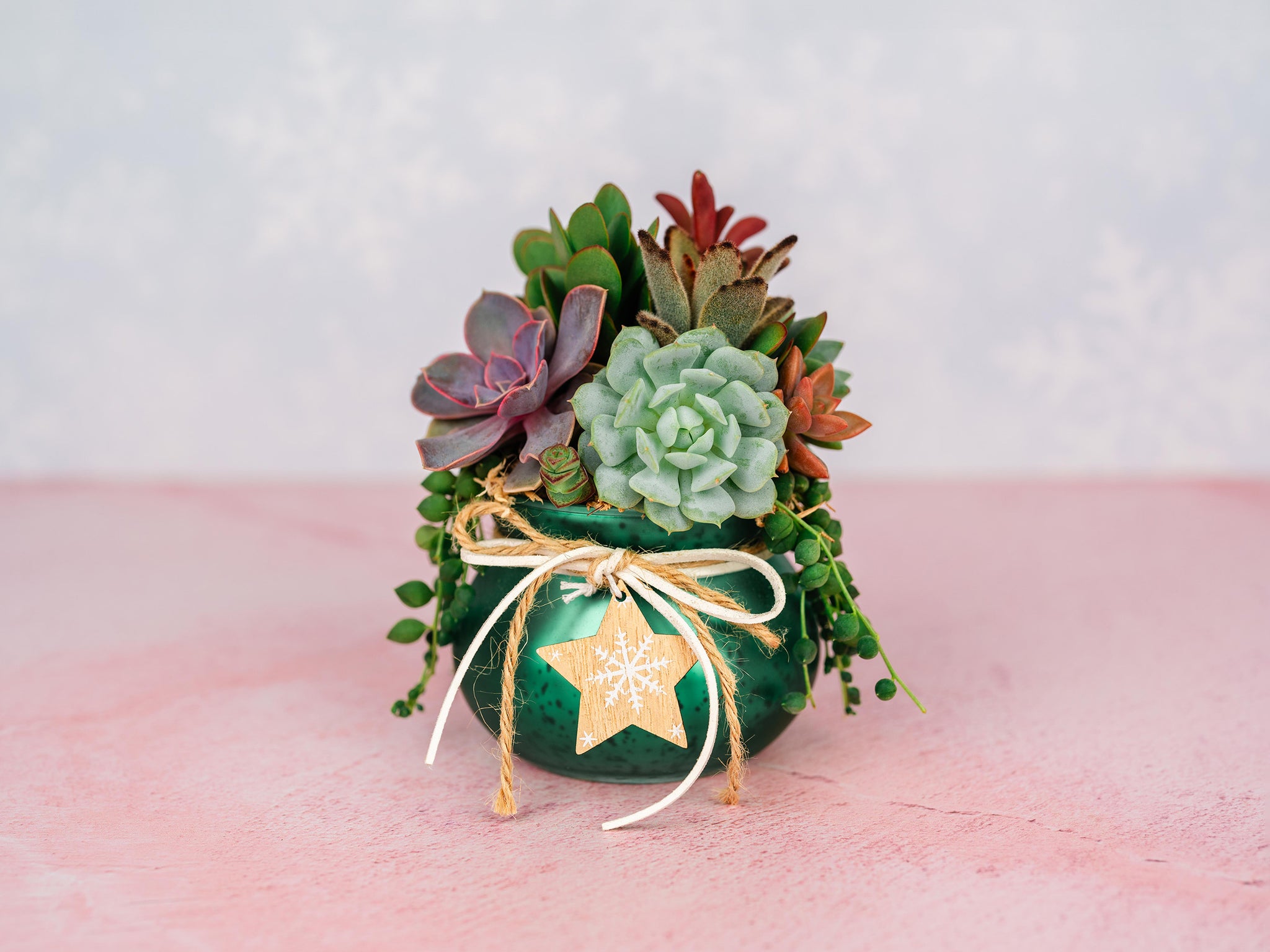Green Mercury Glass Christmas Succulent Gift Arrangement with Rustic Wood Star