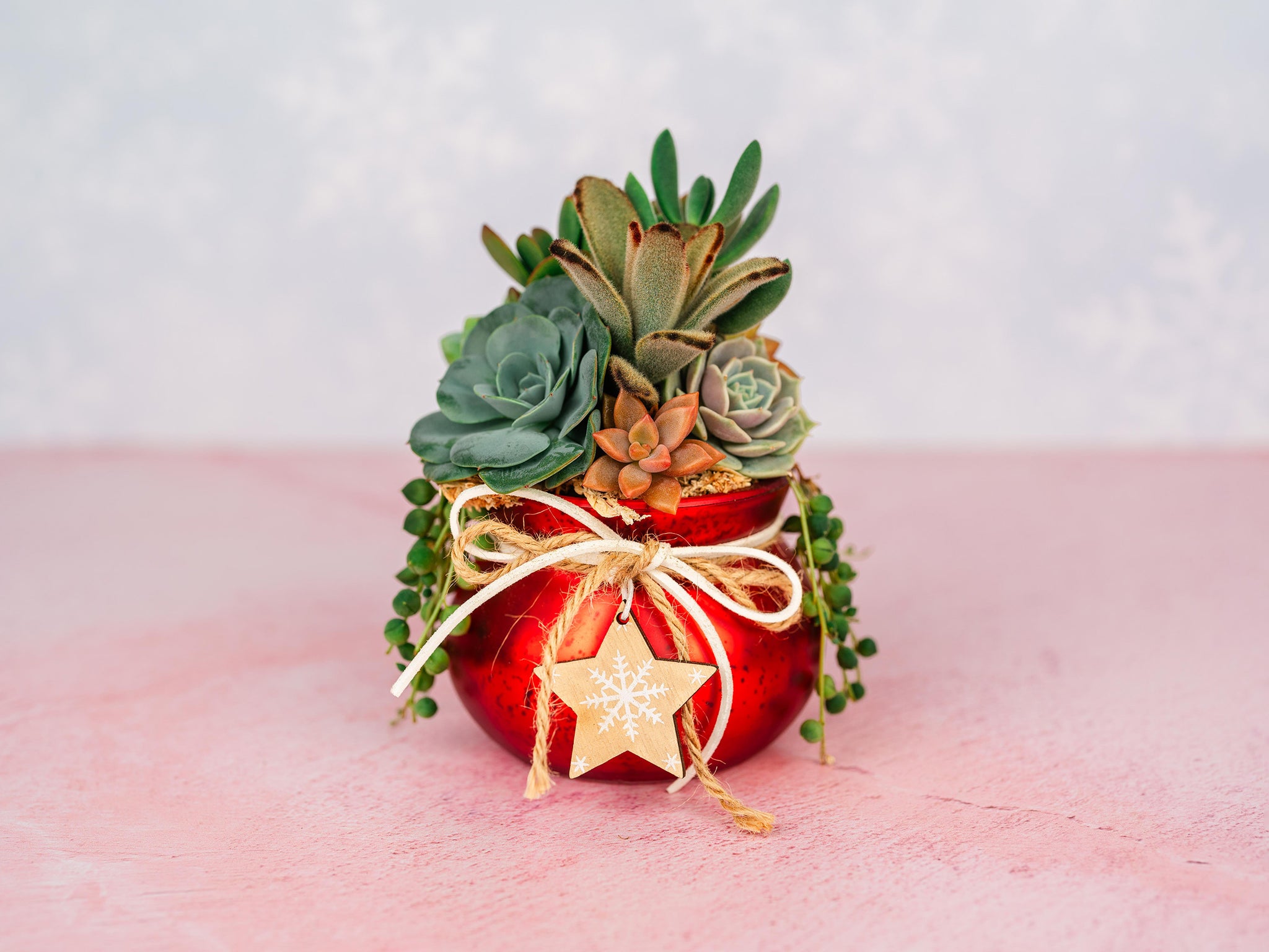 Red Mercury Glass Christmas Succulent Gift Arrangement with Rustic Wood Star