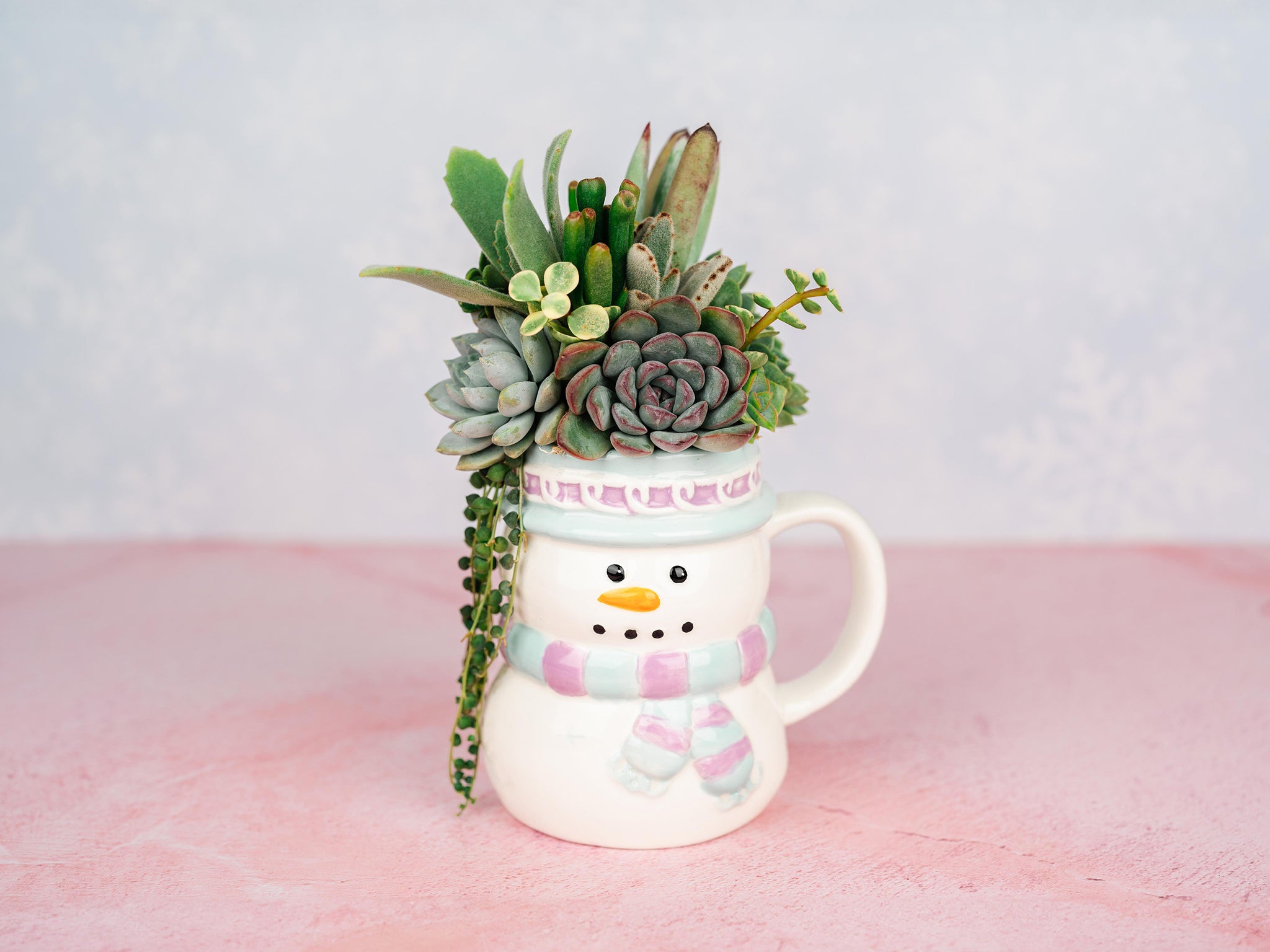 Snowman Mug Succulent Holiday Arrangement
