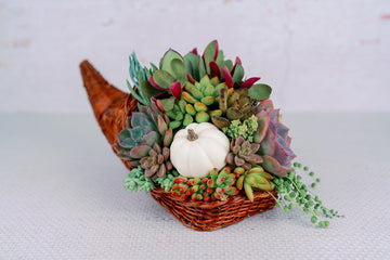 Cornucopia Succulent Thanksgiving Centerpiece Fall Home Decor Arrangement