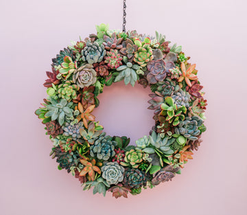 Succulent Moss Wreath Trimmed with Living Colorful Succulents
