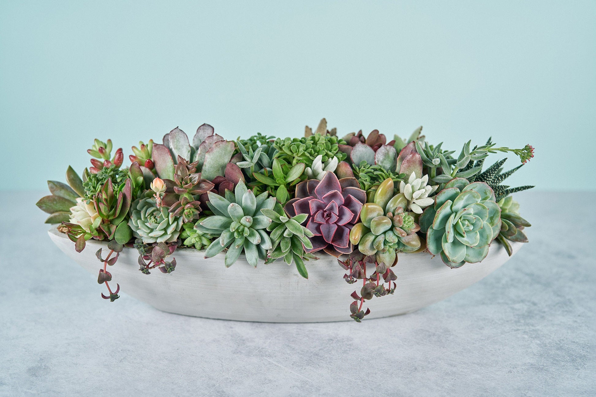 Cement floral centerpiece for weddings featuring living succulents.