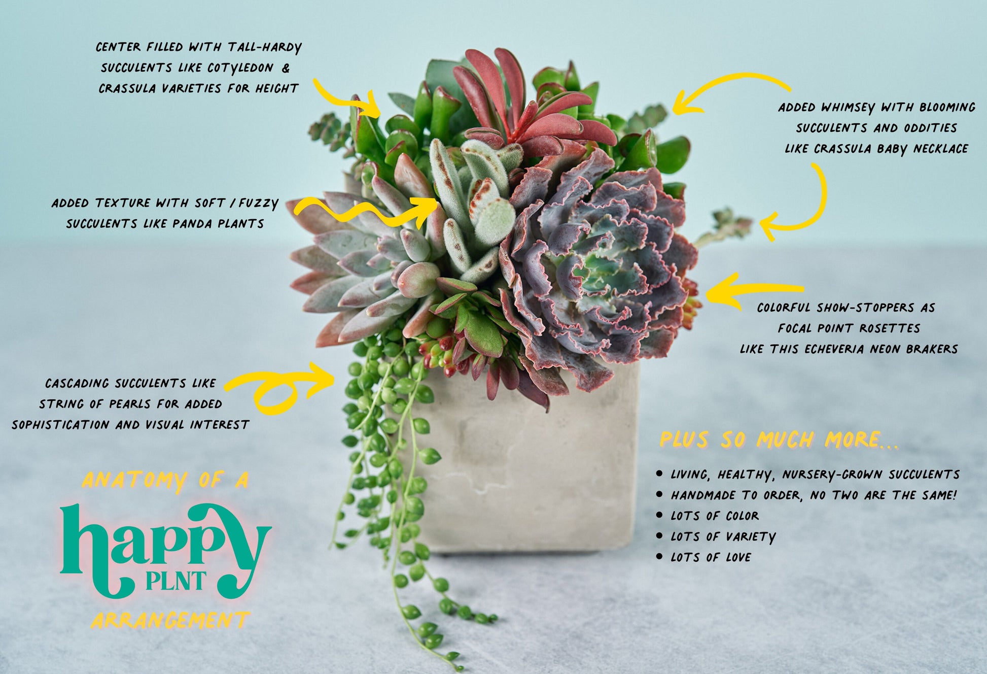 Brushed Gold Living Succulent Arrangement Planter: Anniversary, Mother's Day, Celebration Gift