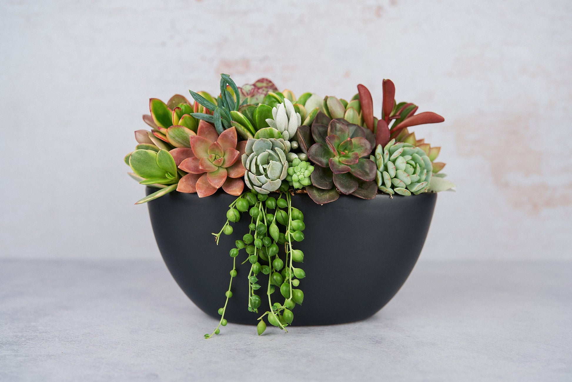 Black Boat Succulent Arrangement Planter: Modern Living Succulent Gift, Centerpiece for Weddings & Events, Housewarming Gift