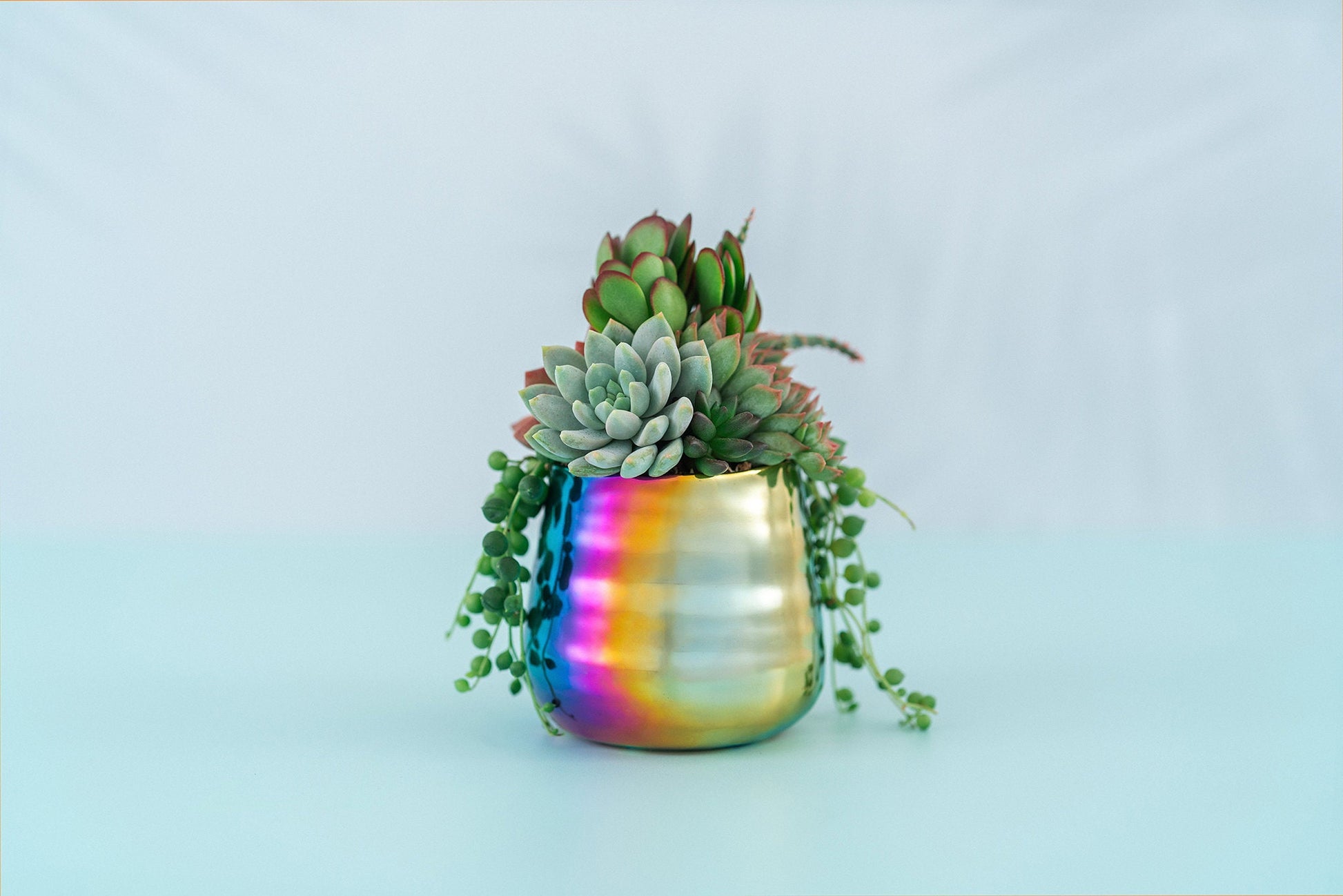 aesthetic rainbow succulent Small Iridescent Rainbow Succulent Arrangement Planter