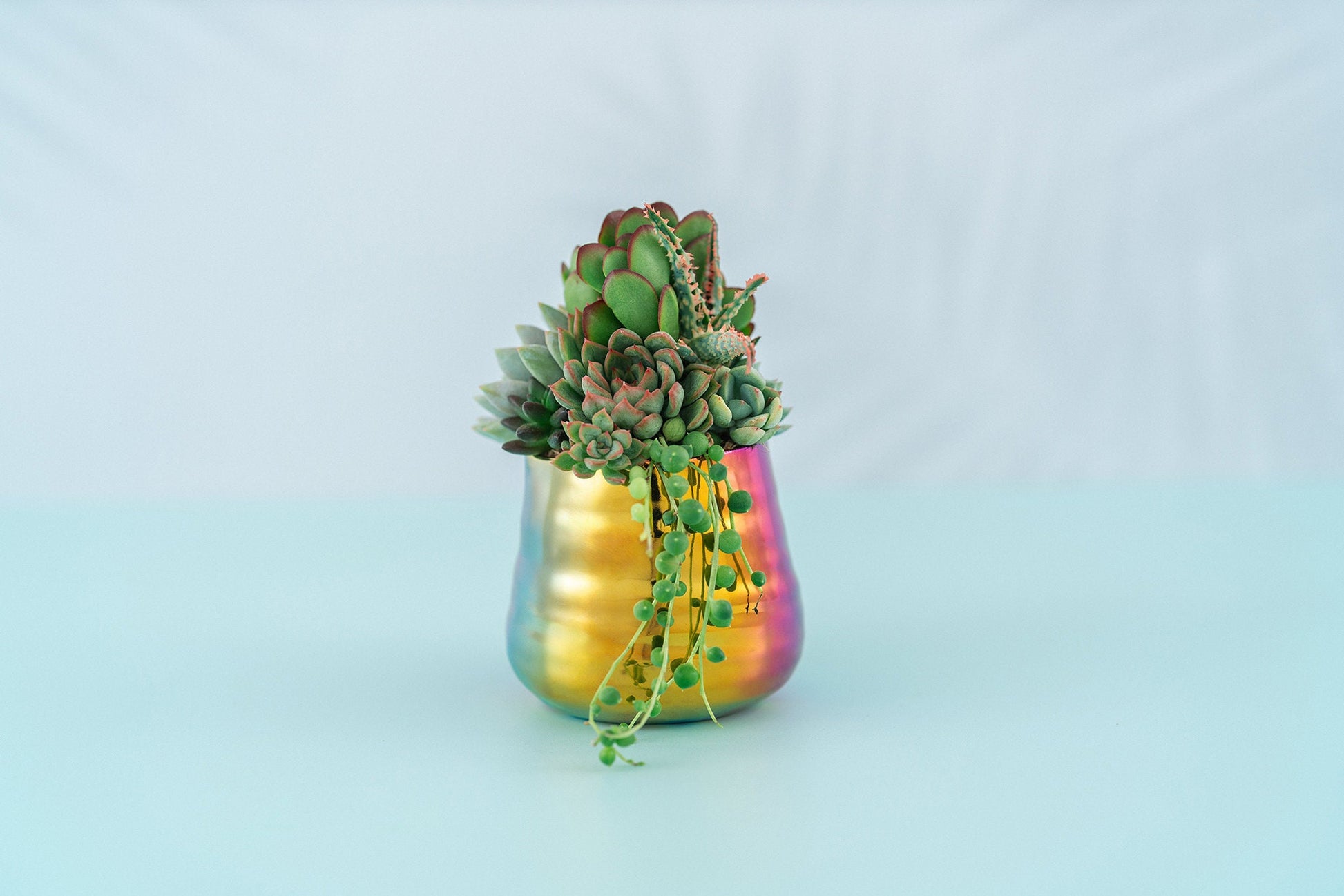small colorful plant pots Small Iridescent Rainbow Succulent Arrangement Planter