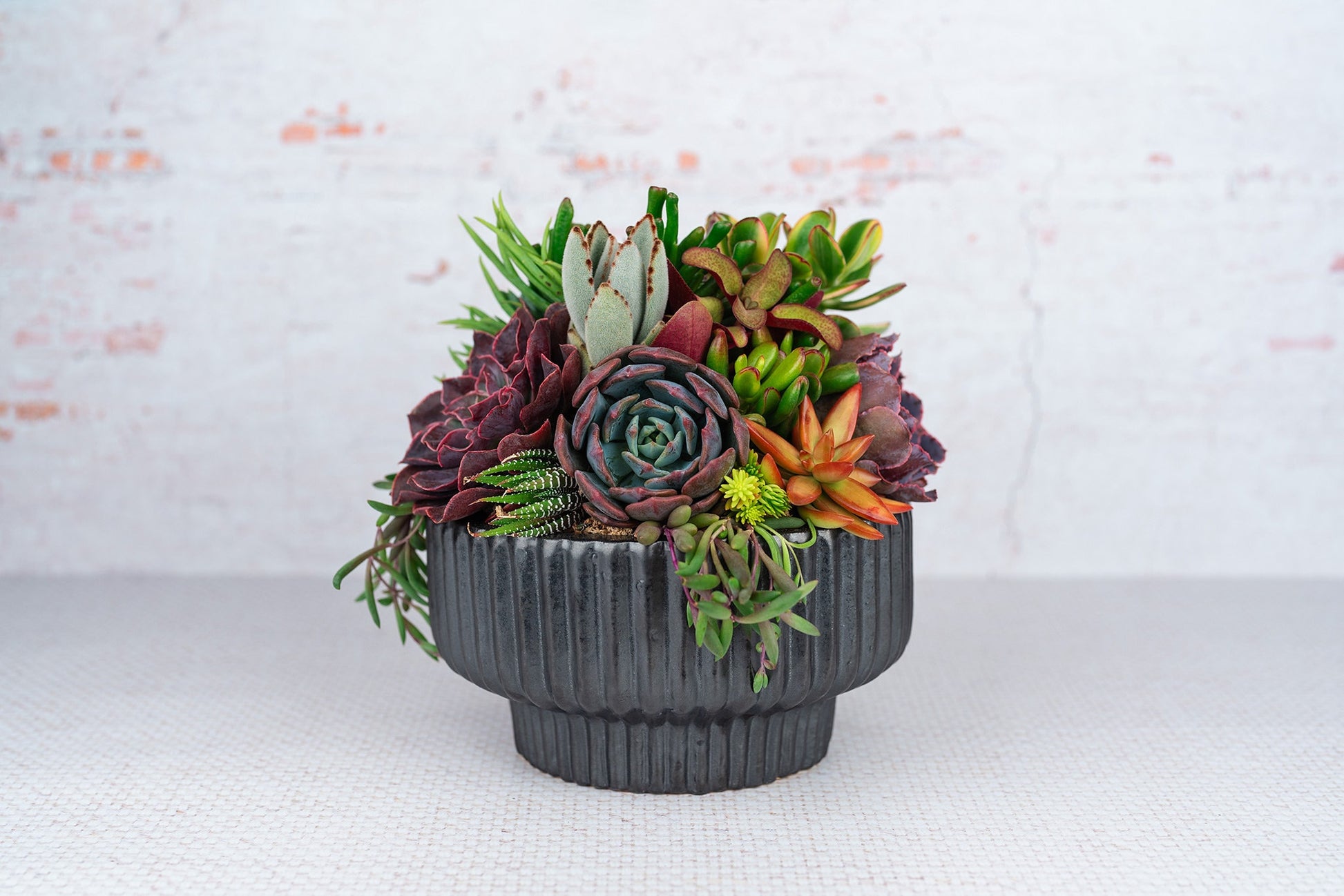 Black Textured Compote Succulent Arrangement Planter: Modern Living Succulent Gift, Centerpiece for Weddings & Events, Housewarming Gift