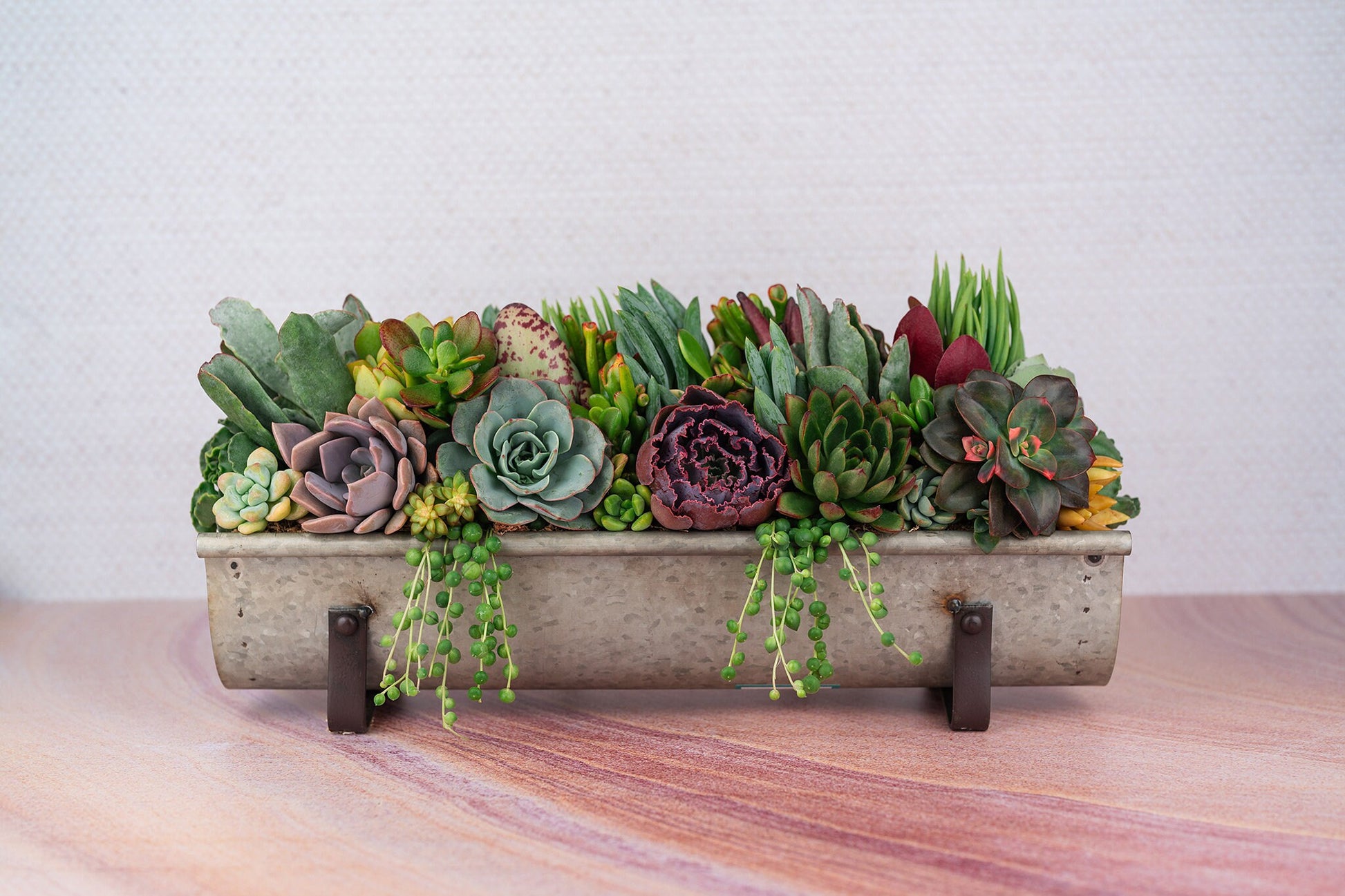 Galvanized metal long and narrow succulent centerpiece: Extra Long Living Succulent Centerpiece for Wedding and Events
