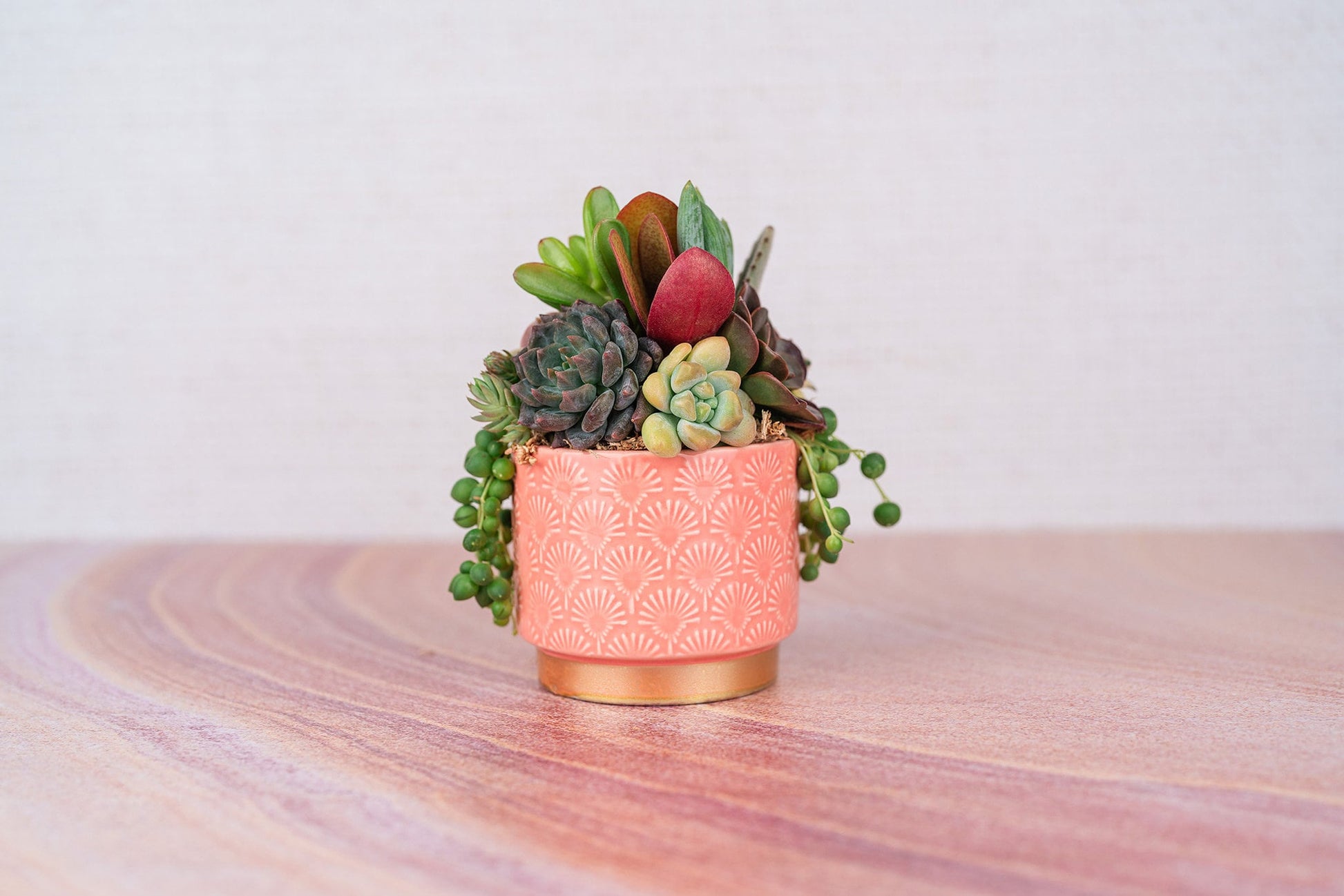 Peach and Gold Patterned Small Living Succulent Arrangement Gift | Birthday, Celebration, Gift for Mom