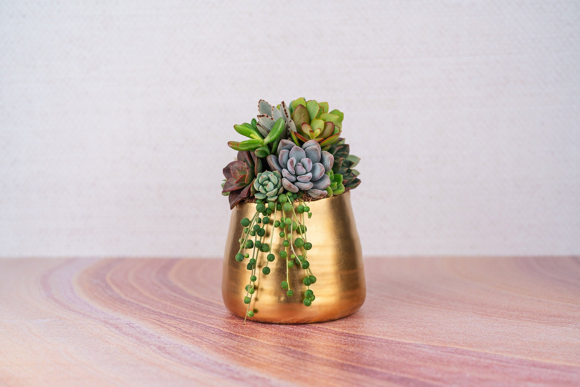 Brushed Gold Living Succulent Arrangement Planter: Anniversary, Mother's Day, Celebration Gift