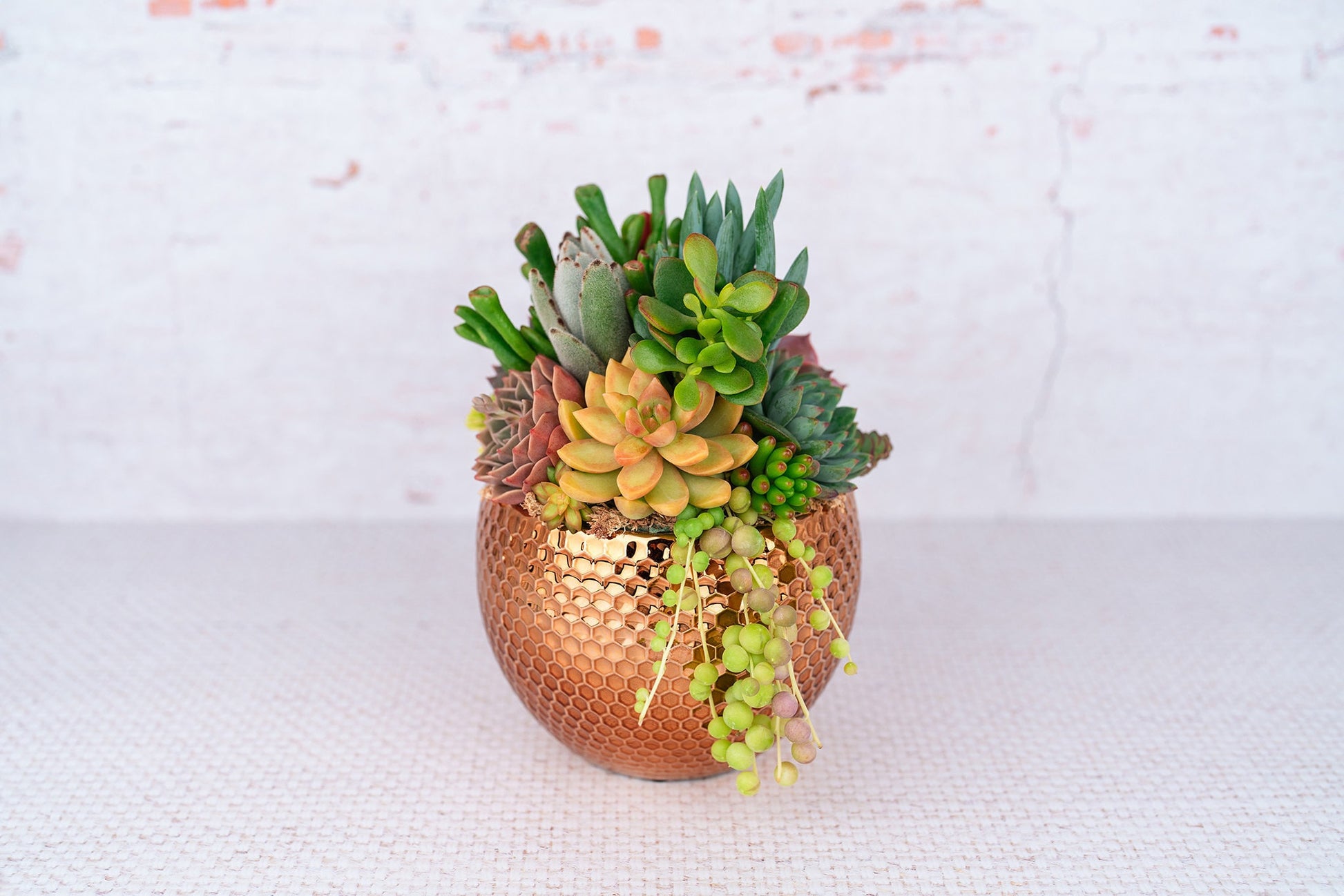 Copper Honeycomb Succulent Arrangement Planter: Modern Living Succulent Gift, Centerpiece for Weddings & Events, Anniversary Gift