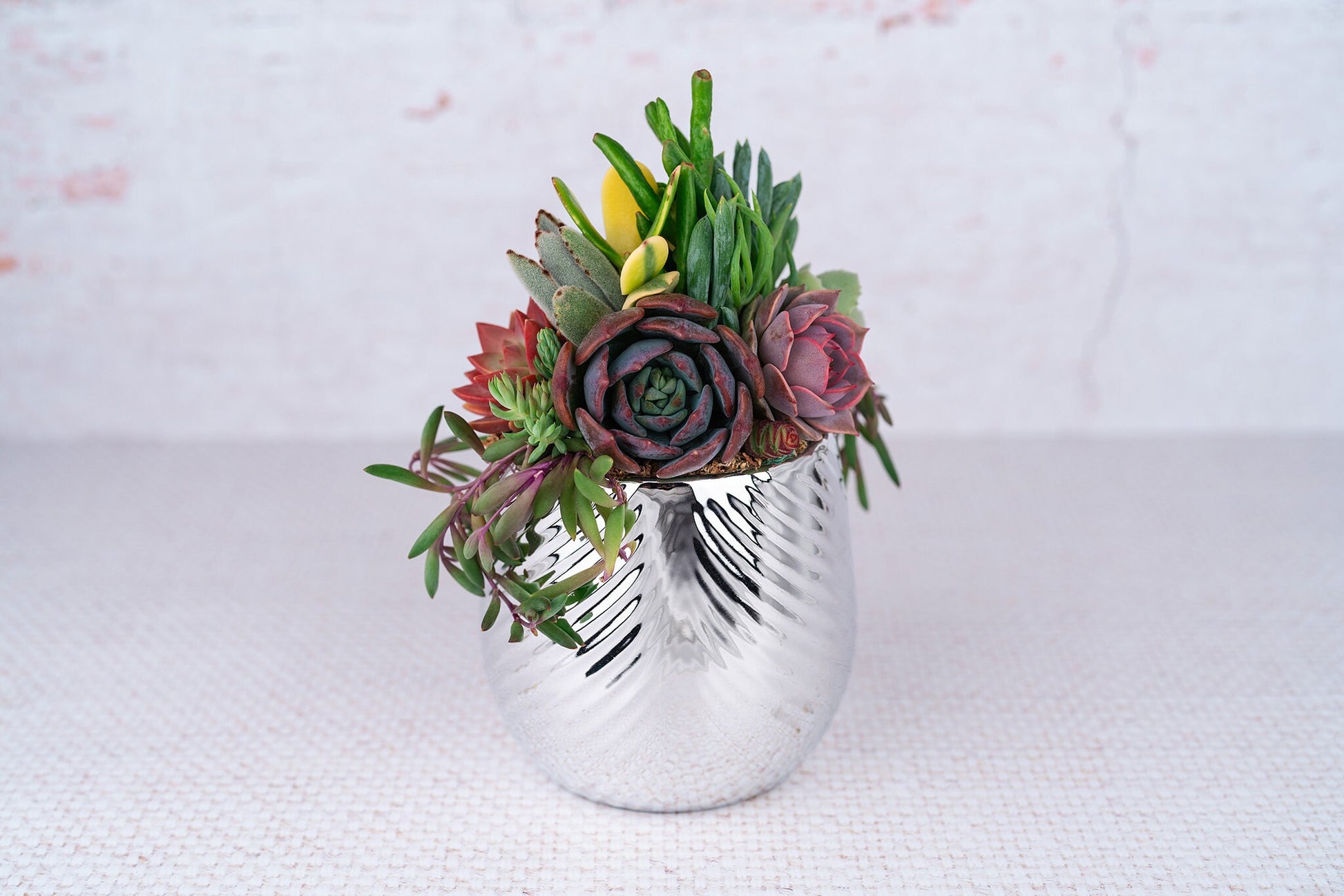 Silver Swirl Succulent Arrangement Planter: Modern Living Succulent Gift, Centerpiece for Weddings & Events, Anniversary Gift