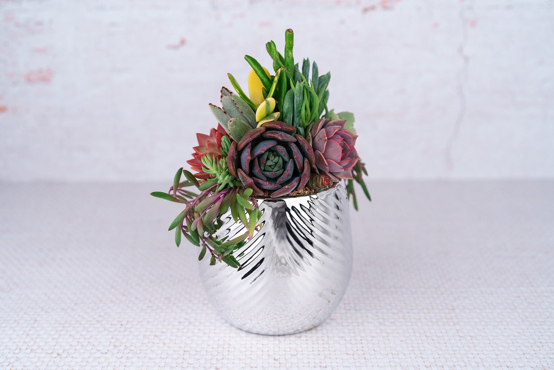 silver pot planter Silver Swirl Succulent Arrangement Planter
