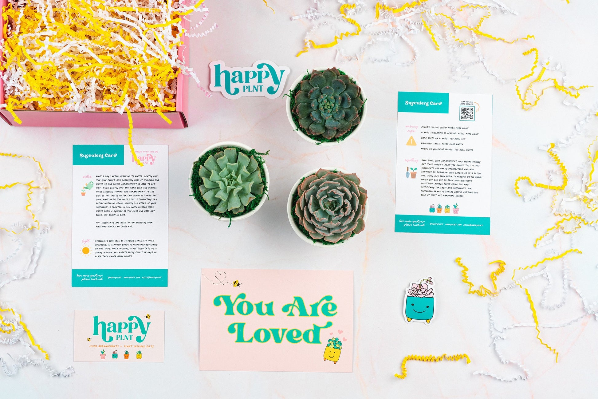 Happy Belated Birthday Succulent Gift Box | 3 Living Succulent Pots + Personalized Greeting Card