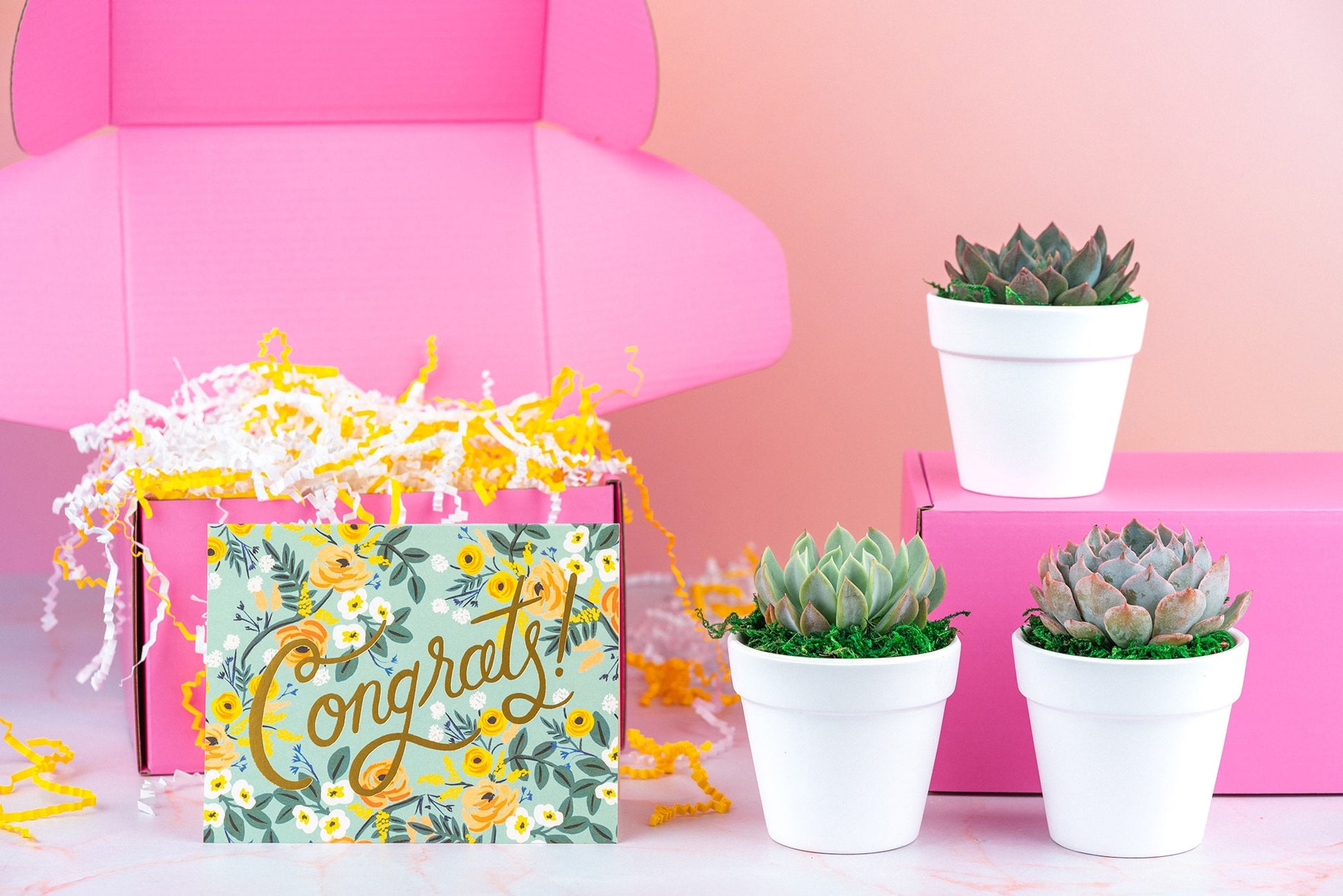 Congrats! Celebration Succulent Gift Box | 3 Living Succulent Pots + Personalized Greeting Card, Graduation, Promotion, Retirement Gift