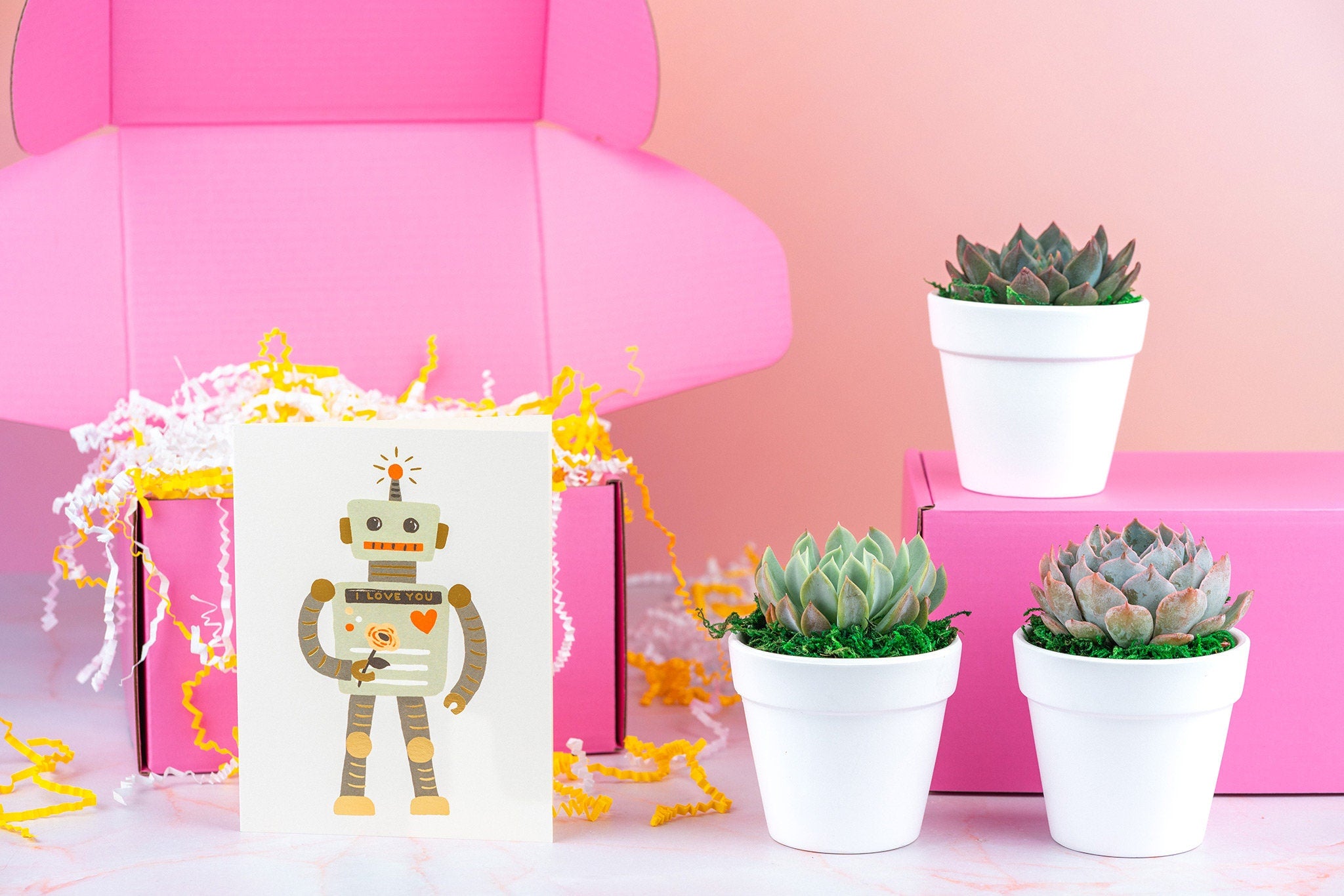 I love you! Robot Succulent Gift Box | 3 Living Succulent Pots + Personalized Greeting Card, Valentines Day Gift, Romantic Gift