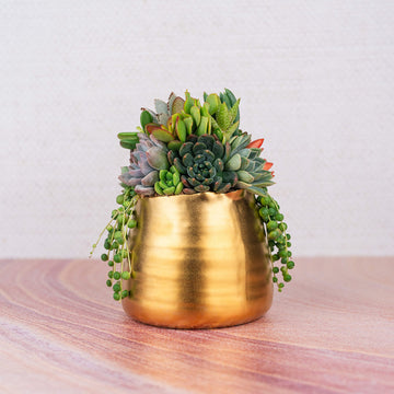 Brushed Gold Living Succulent Arrangement Planter